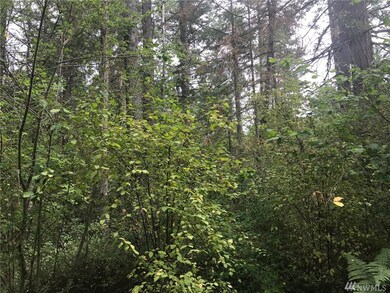 13232 Rocking South Ln SE, Yelm, WA 98597 - photo 2