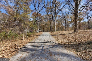 214 Bruce Rd, Douglasville, GA 30134 - photo 5