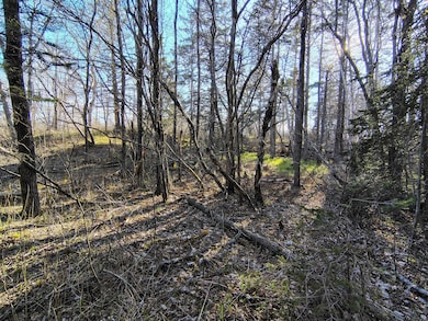 IMG_20250505_172011373_HDR