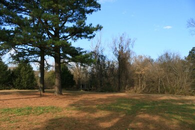 Yard to side of house