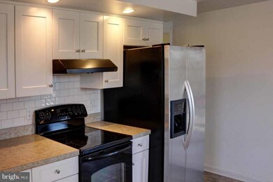 309 Racey Ln, Strasburg, VA 22657 - photo 7