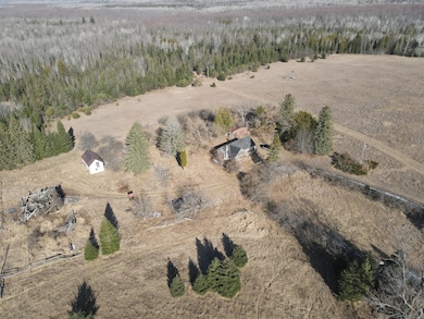 14246 County Road 441, Posen, MI 49776 - photo 6