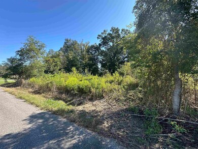 .31 Acres Rod Anderson Rd, St. Amant, LA 70774 - photo 5