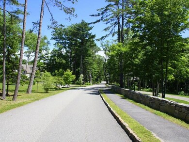 Looking down Mountain Arrow Drive...