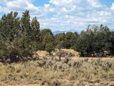 Lot 23 Farraday Rd, Durango, CO 81303 - photo 3