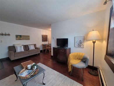 214 S Harris St unit 101, Breckenridge, CO 80424 - photo 2