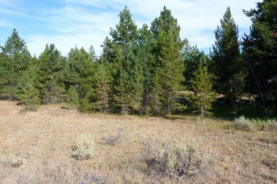 Nice Level Area Surrounded By Mature Timber