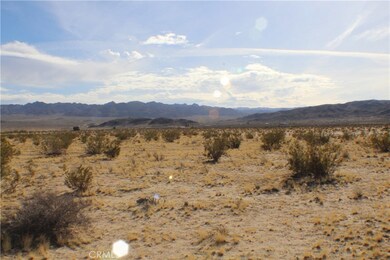 4499 Pearl Springs Ave, Twentynine Palms, CA 92277 - photo 2