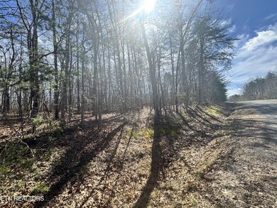 0 N Laurel Loop unit RTC2962883, Monterey, TN 38574 - photo 5