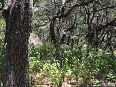 8606 Classic Oaks Ln, San Antonio, TX 78255 - photo 2