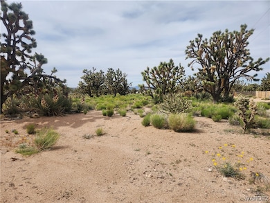 Lot view looking to the Northwest from the edge of