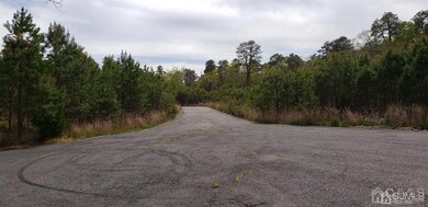 17 Welch Ct, Little Egg Harbor Township, NJ 08087 - photo 3