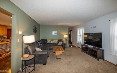 7711 Diagonal Rd, Kent, OH 44240 - photo 5