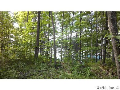Exterior Front Wooded area behind cleared lot