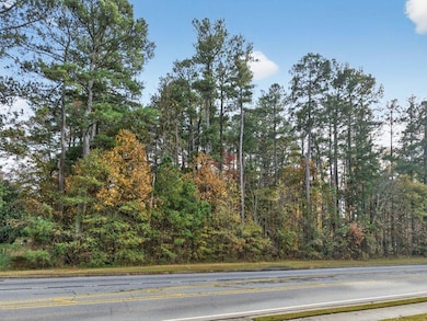 341 Ozora Rd, Loganville, GA 30052 - photo 2