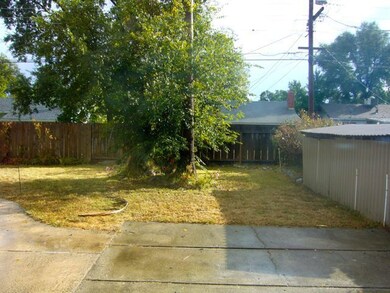 Back yard