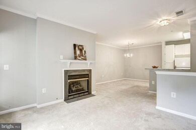 1516 N Point Dr unit 103, Reston, VA 20194 - photo 7