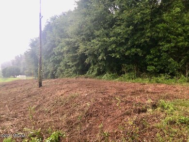 0 Burnett Rd unit 158759, Byron, GA 31008 - photo 2