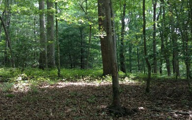 Additional View