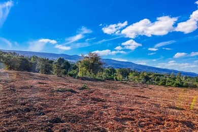 0 Haleakala Hwy unit 4, Kula, HI 96790 - photo 5