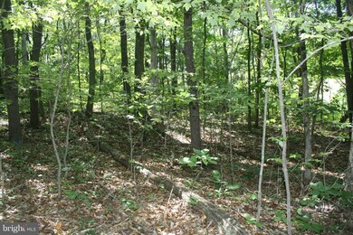 0 Hampshire Grade Rd unit 1002439090, Hedgesville, WV 25427 - photo 7