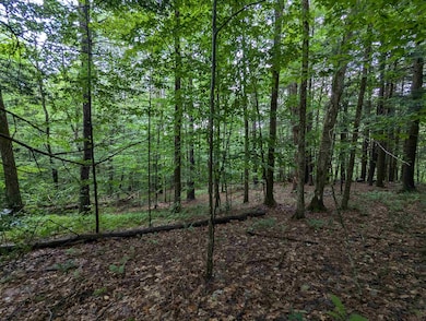 0 Dover Rd unit 5054979, Newfane, VT 05345 - photo 4