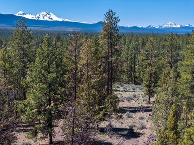 62947 Levins Ln, Bend, OR 97703 - photo 7