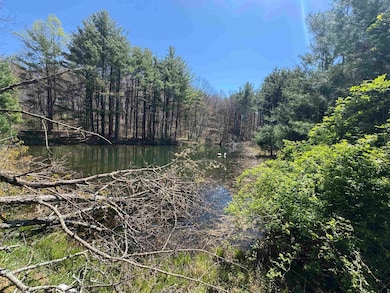 0 Cherry Creek Rd unit 423795, Meadows of Dan, VA 24120 - photo 6