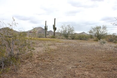 Lot looking North