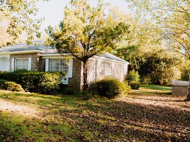 222 Old Ailey Lothair Rd, Mount Vernon, GA 30445 - photo 5