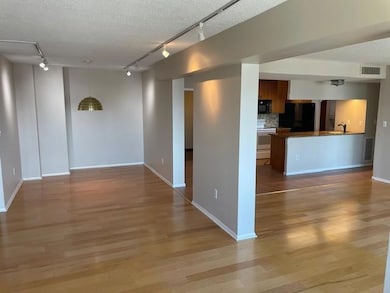 1920 S 1st St unit 2302, Minneapolis, MN 55454 - photo 7