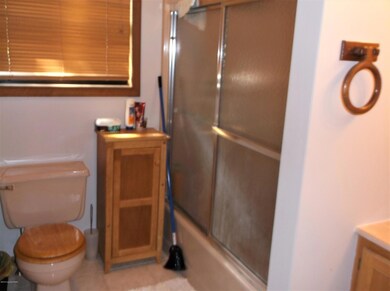 7103 Robinwood Dr, Tobyhanna, PA 18466 - photo 6