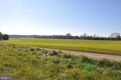 8415 Rock Hall Rd, Chestertown, MD 21620 - photo 5