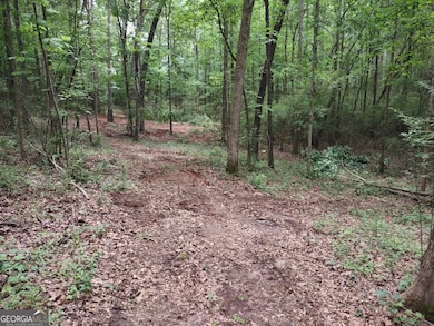 IMG_20230519_131120550.jpg