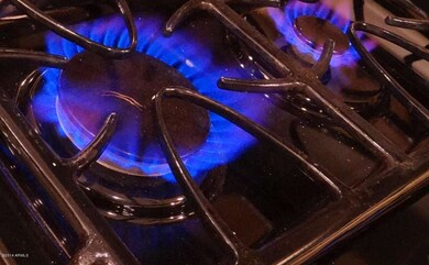 Cook with Gas on new range
