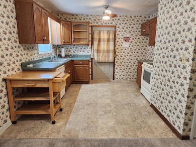 529 E Mcvay St, Marshfield, MO 65706 - photo 6