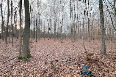 V/L Stoneybrook Trail, Hubbardston, MI 48845 - photo 7