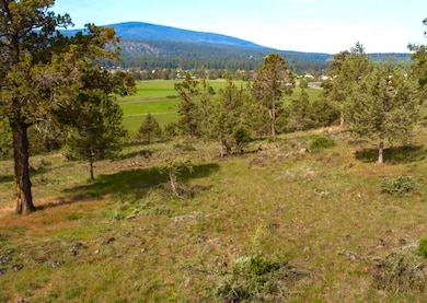 0 Keno Terrace Dr unit 20 220207058, Klamath Falls, OR 97601 - photo 4