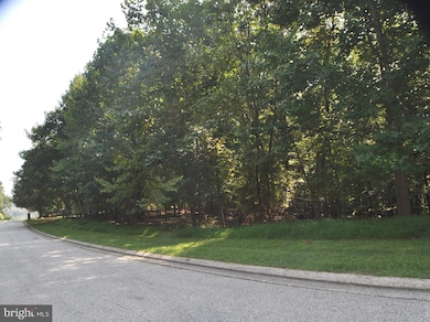 4007 Cloverland Dr, Phoenix, MD 21131 - photo 4