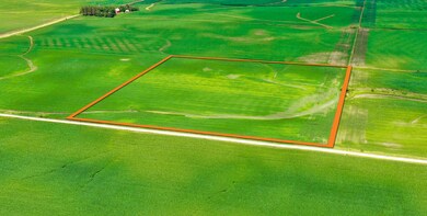 T3 Work CROP DJI_0255