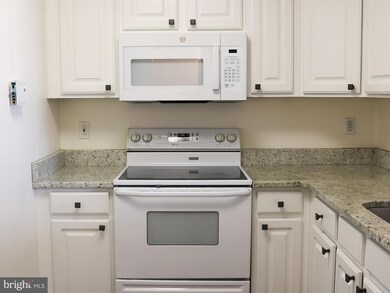 23 Pierside Dr unit 225, Baltimore, MD 21230 - photo 5