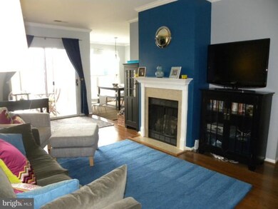 The Pavillion unit 302, Falls Church, VA 22043 - photo 3