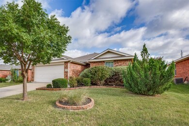 Mature Landscaping