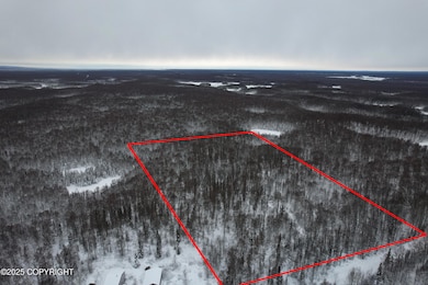 16486 E Barge Dr, Talkeetna, AK 99676 - photo 2
