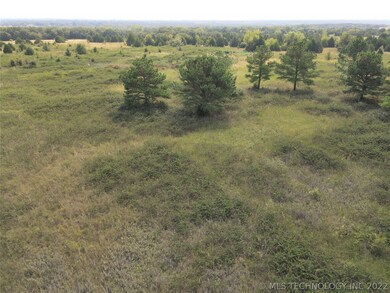 0 Mary Niblack Rd, Ardmore, OK 73401 - photo 4