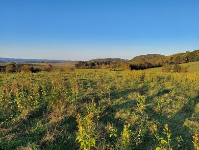 48.5 Acres Owl Hole Gap Rd, Rutledge, TN 37861 - photo 3