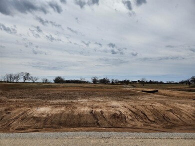 177 Lonicera Ln, Paradise, TX 76073 - photo 7