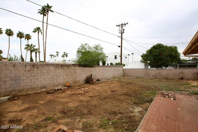 Backyard2