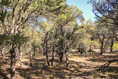 Marenman Rd, Fort Garland, CO 81133 - photo 7