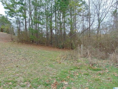 1215 Grande View Ln, Alabaster, AL 35114 - photo 2